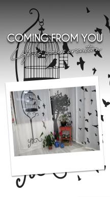 Bird Cage and Free Birds Tulle Curtain 2 Sashes