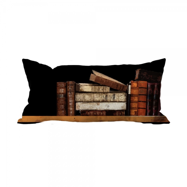 Books-12 Cushion
