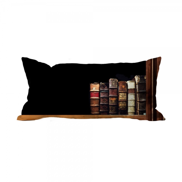 Books-15 Cushion