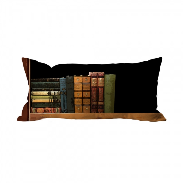 Books-3 Cushion