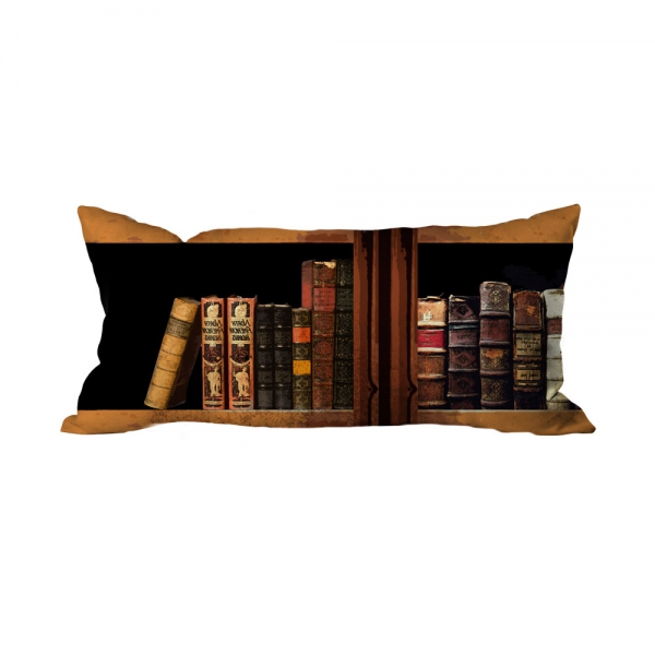 Books-4 Cushion