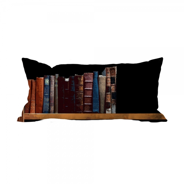 Books-7 Cushion