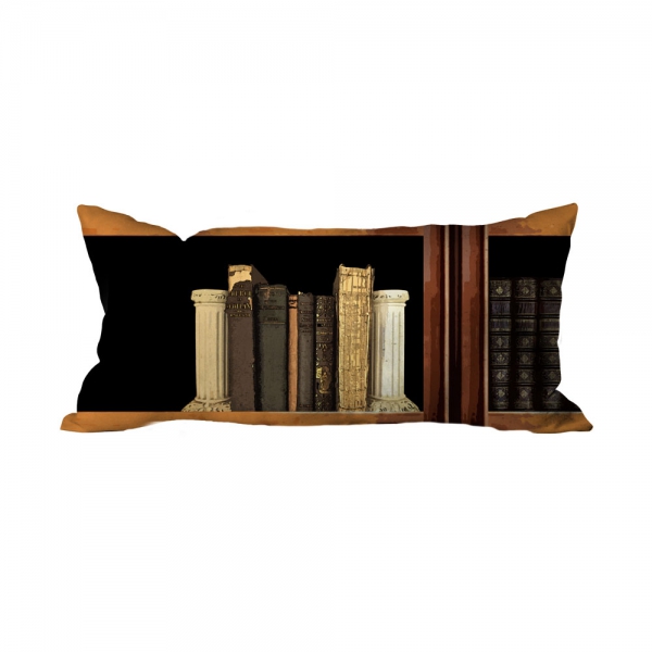 Books-8 Cushion