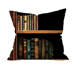 Books Cushion
