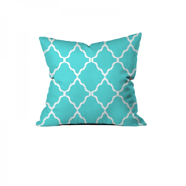 Charming Turquoise Cushion