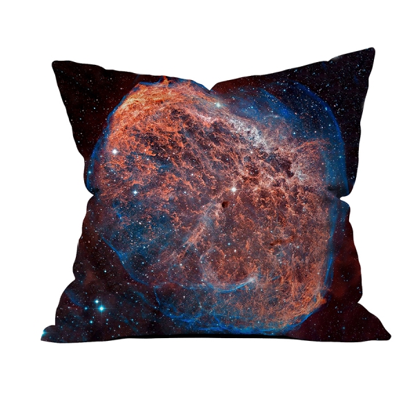 Gattaca Space Cushion
