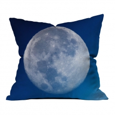 Winter Blue Model 2 Pillow