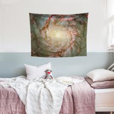 Arms of Spiral Galaxy Wall Spread